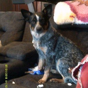 Meet your Posher, Lori